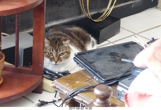 102 9sn. my cat Penny