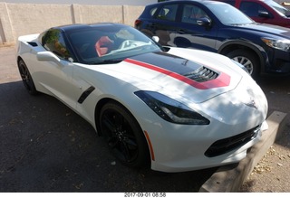 my vet Dr. Krista Gibson's new Corvette