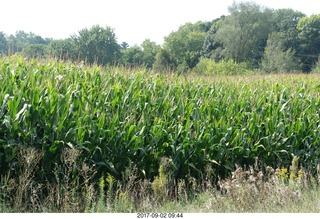 Afton, Minnesota, run