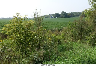 Afton, Minnesota, run