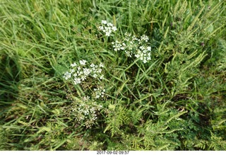 Afton, Minnesota, run