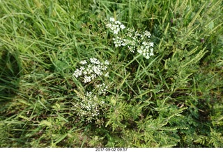 Afton, Minnesota, run