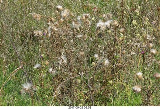 Afton, Minnesota, run