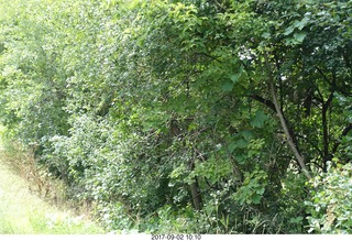 Afton, Minnesota, run