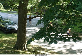 Cheltenham Cross Country CHS-XC - Curtis Arboretum - one mile