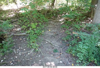 Cheltenham Cross Country CHS-XC - Curtis Arboretum - after the race - Mark Gyandou, Adam Alper, Mike Gross, Aaron Gross
