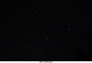 CHS-XC - Curtis Arboretum - alumni-vs-varsity - start