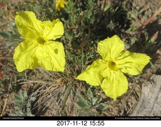 pictures from bryce-canyon sd-card