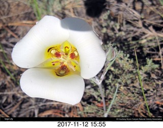 pictures from bryce-canyon sd-card