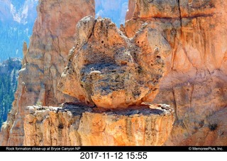 pictures from bryce-canyon sd-card - flowers