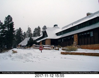 pictures from bryce-canyon sd-card - flower