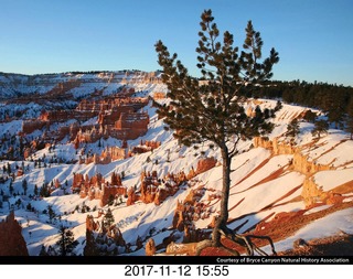 pictures from bryce-canyon sd-card