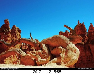 pictures from bryce-canyon sd-card