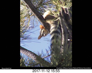 pictures from bryce-canyon sd-card