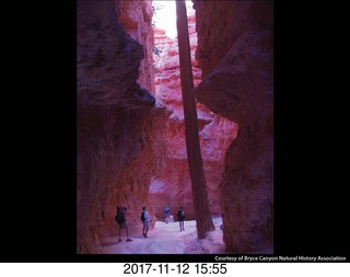 pictures from bryce-canyon sd-card