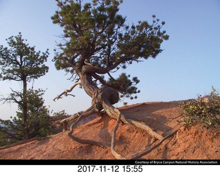 pictures from bryce-canyon sd-card