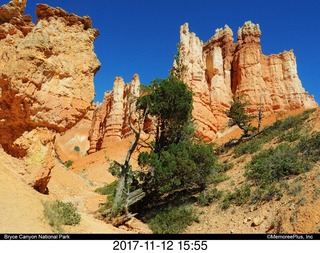 pictures from bryce-canyon sd-card
