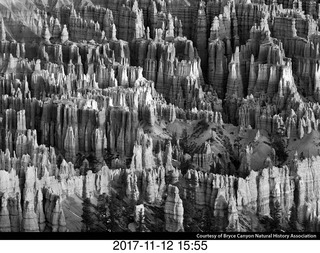pictures from bryce-canyon sd-card  - black and white