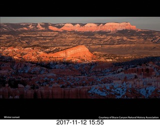 pictures from bryce-canyon sd-card  - flower
