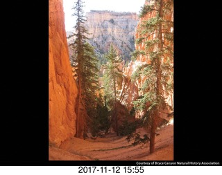 pictures from bryce-canyon sd-card