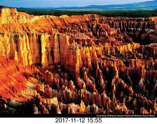 pictures from bryce-canyon sd-card - flower