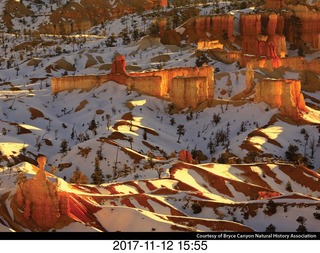 pictures from bryce-canyon sd-card - flower