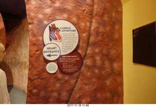 Philadelphia - The Franklin Institute - the Heart exhibit