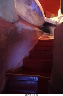 Philadelphia - The Franklin Institute - Cecelia