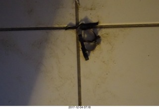 tape thrown up by my cat