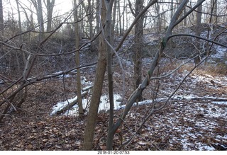 Philadelphia - Pennypack Park run