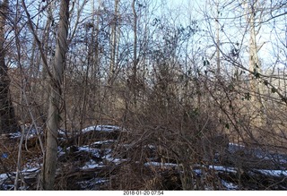 Philadelphia - Pennypack Park run