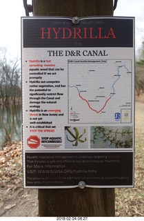Princeton canal run sign