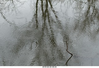 Princeton Alumni Day - Service of Remebrance