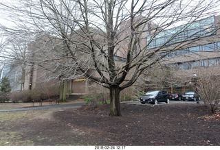 Princeton Alumni Day