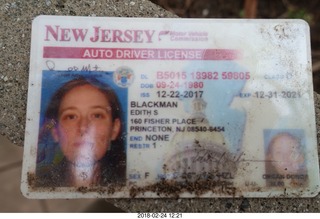 Princeton Alumni Day - strange ID I found