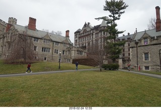 Princeton Alumni Day