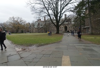 Princeton Alumni Day