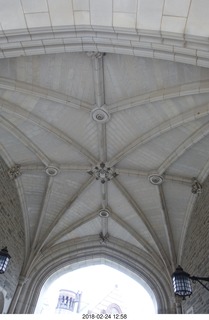 Princeton Alumni Day - black squirrel