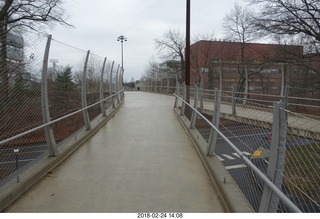 Princeton Alumni Day