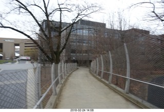 Princeton Alumni Day - sculpture