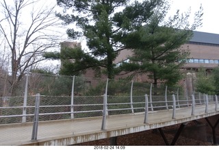 Princeton Alumni Day