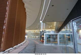 Princeton Alumni Day