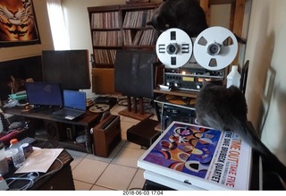 Noah Barnes Parker and my cat Devin