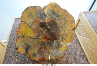 15 a03. Petrified Forest National Park - visitor's center shiny petrified stump