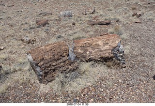 238 a03. Petrified Forest National Park - Crystal Forest hike + petrified logs