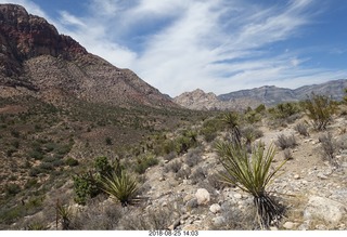 Las Vegas - Red Rock Canyon - thirteen mile drive - Pine Creek Canyon hike