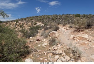 pictures on NH2T wall for Ricky Bobby