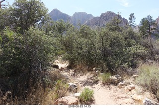 Las Vegas - Red Rock Canyon - thirteen mile drive - Pine Creek Canyon hike