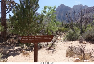 Las Vegas - Red Rock Canyon - thirteen mile drive - Pine Creek Canyon hike
