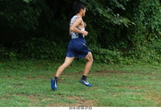 Curtis Arboretum - Cheltenham XC alumni race